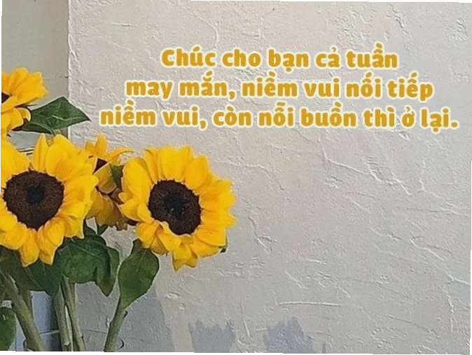 Meme biểu cảm Biểu cảm gương mặt khi dùng meme chúc may mắn lần sau hài hước