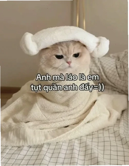 Trái tim ngọt ngào Biểu tượng trái tim kèm meme em yêu anh
