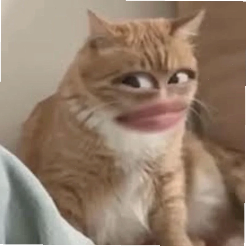 meme ai biết gì cực chất bộ sưu tập meme ai biết gì