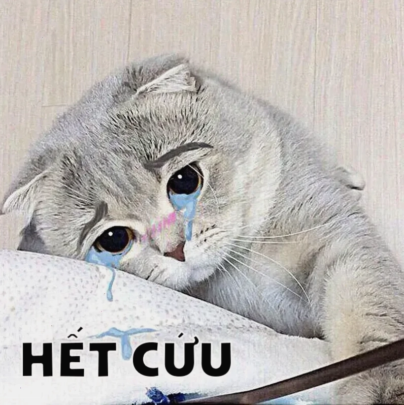 ánh mắt tuyệt vọng bó tay meme ánh mắt tuyệt vọng