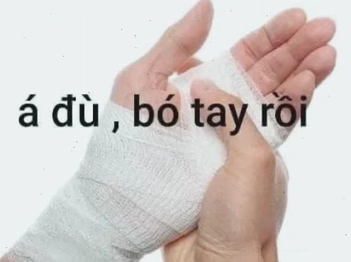mèo bó tay bó tay meme chú mèo