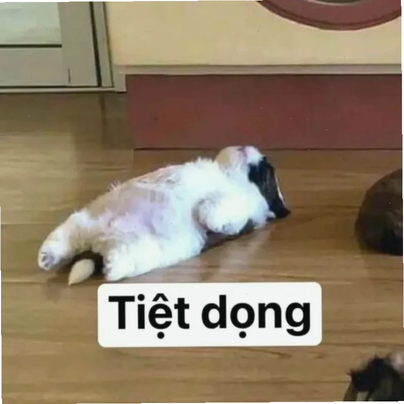 gục đầu tuyệt vọng bó tay meme gục đầu