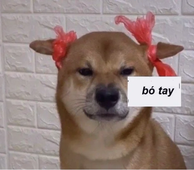 hết cứu ní ơi bó tay meme hết cứu ní ơi