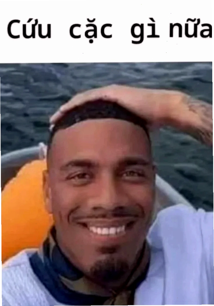 mèo trắng ngỡ ngàng bó tay meme mèo trắng
