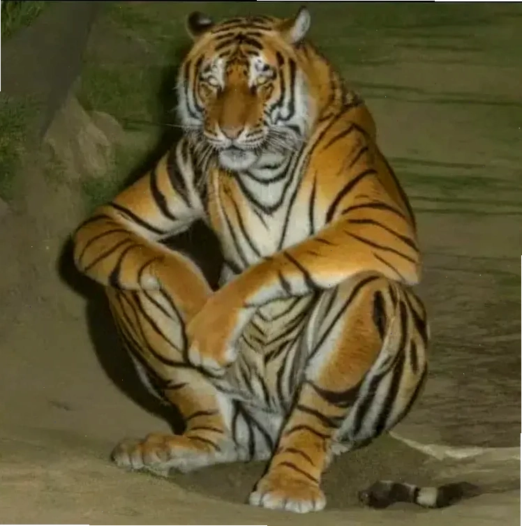 trống rỗng bó tay meme trống rỗng