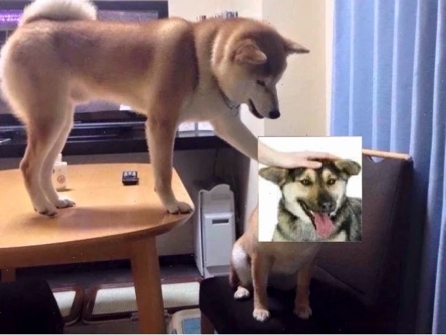 bóp cổ meme bóp cổ meme hài