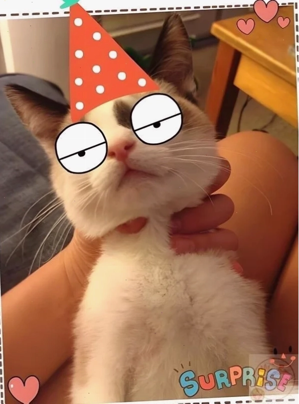 bóp cổ meme bóp cổ meme lạ