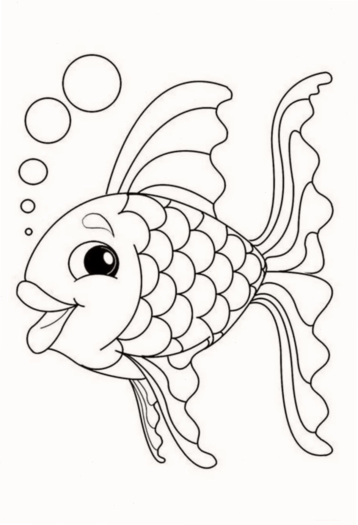 cá heo chơi cá heo chơi bóng
