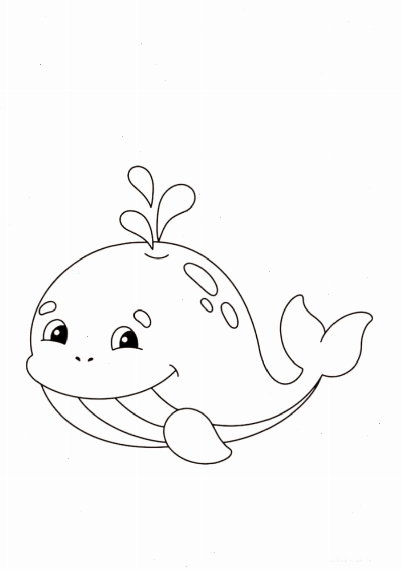 cá mập con cá mập con dễ thương