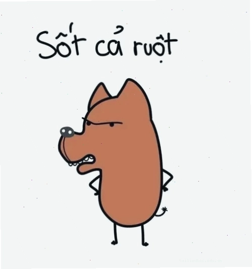 các ảnh meme hài các ảnh meme hài