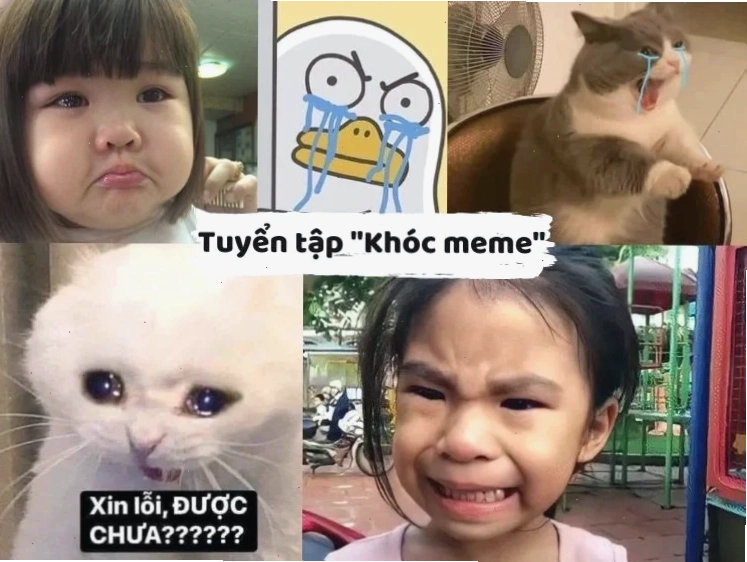 các ảnh meme hài các ảnh meme hài