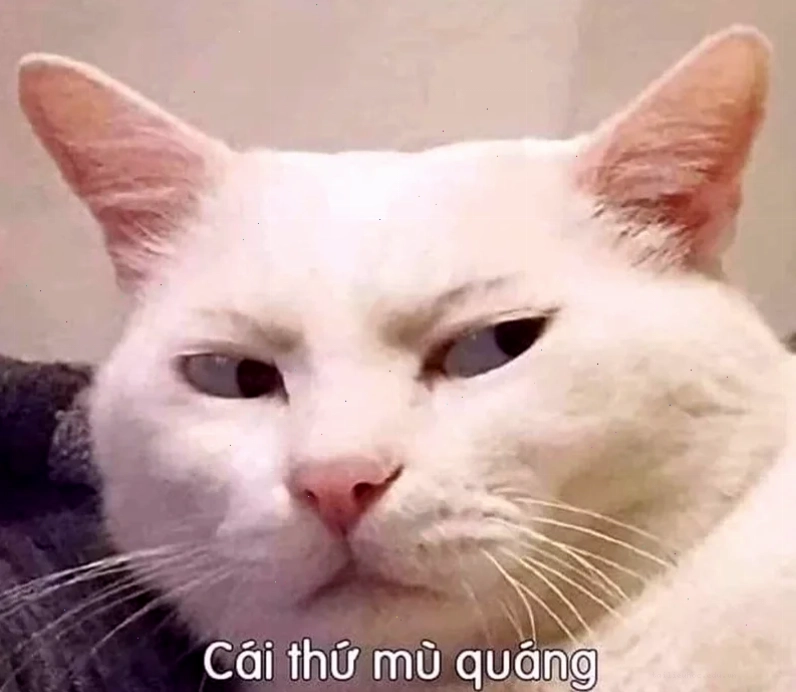 các ảnh meme hài các ảnh meme hài