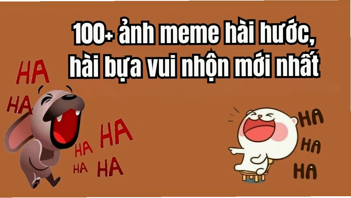 các ảnh meme hài các ảnh meme hài