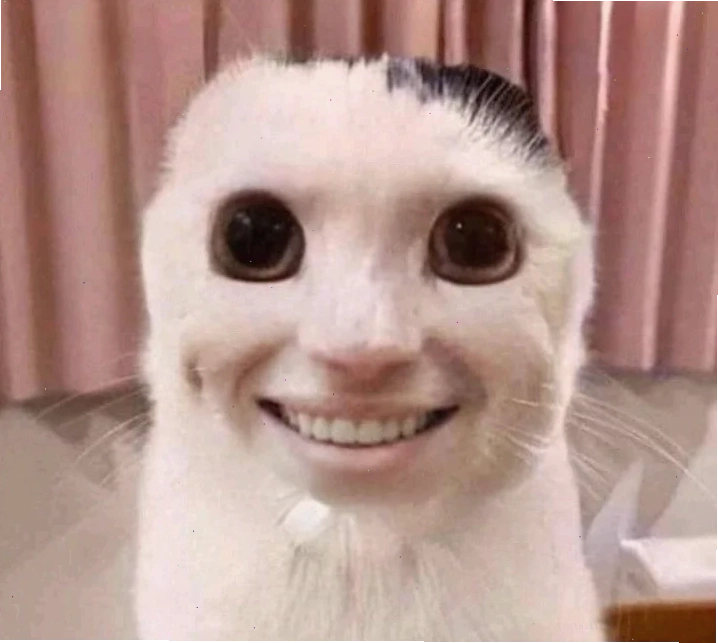 các ảnh meme hài các ảnh meme hài