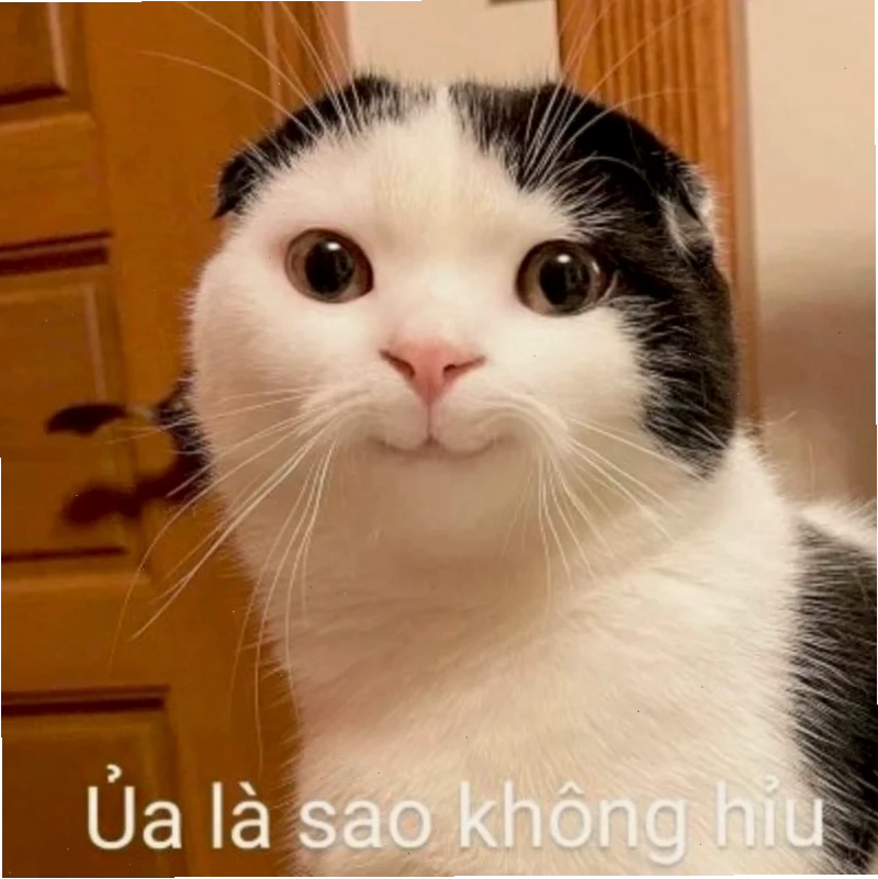 các ảnh meme hài các ảnh meme hài