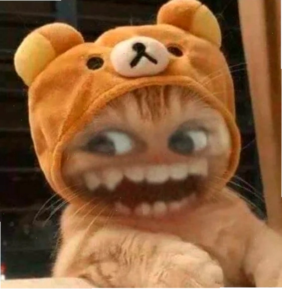 các ảnh meme hài các ảnh meme hài