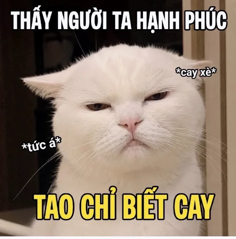 các ảnh meme hài các ảnh meme hài