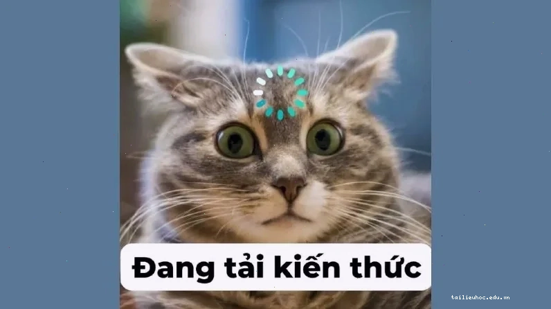 các ảnh meme hài các ảnh meme hài