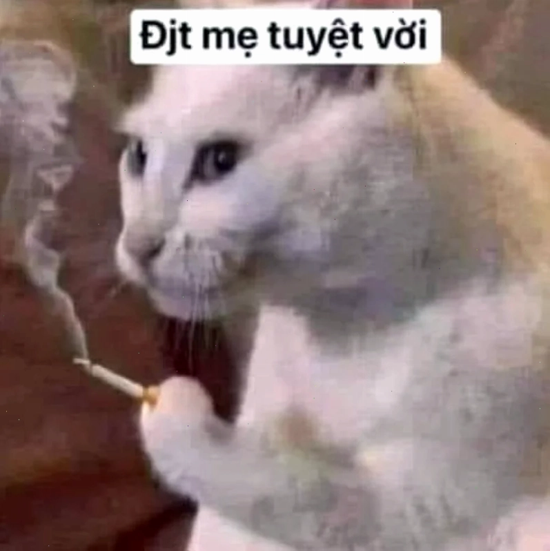 các ảnh meme hài hước các ảnh meme hài hước
