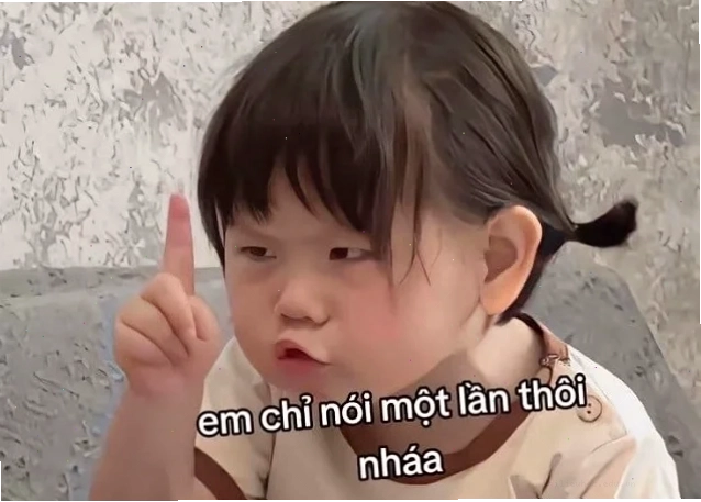 các ảnh meme mèo các ảnh meme mèo