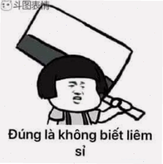 các ảnh meme mèo các ảnh meme mèo