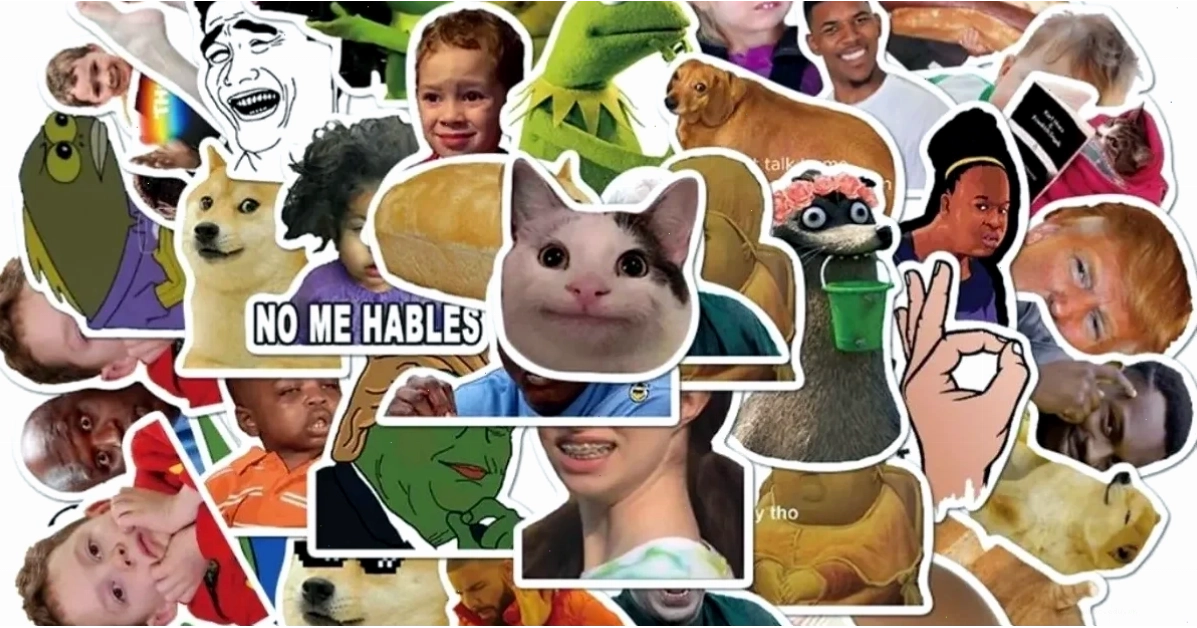 Mèo bựa meme Các meme nổi tiếng mèo