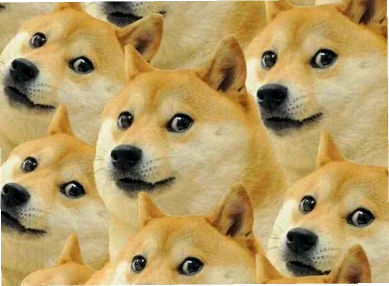 Meme hài hước Các meme nổi tiếng thế giới