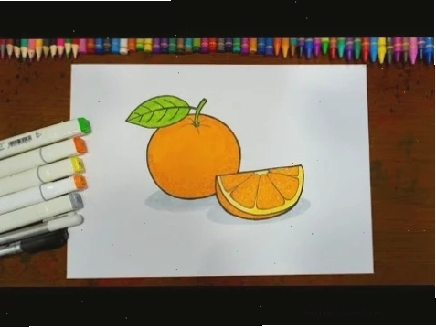 Cam tròn Cam tròn