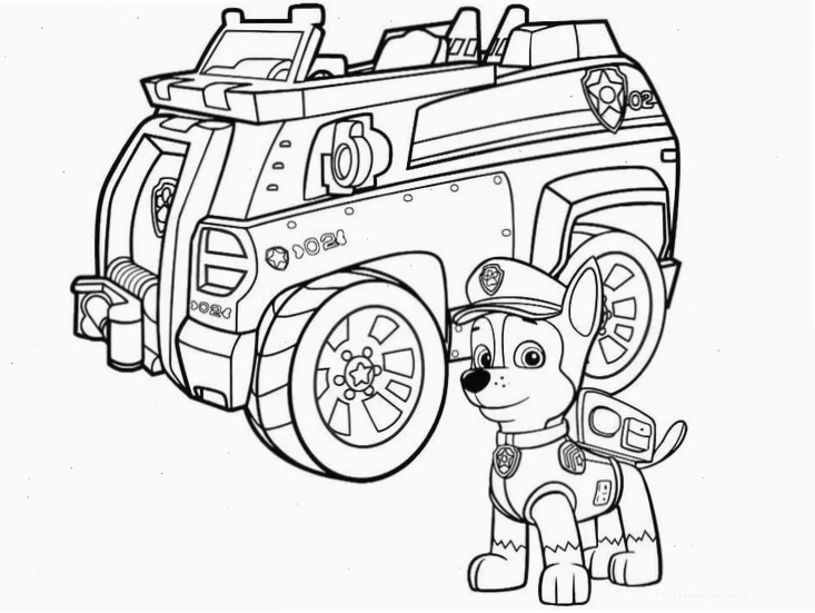 Cảnh cứu hộ trên cầu trong hình vẽ đội chó cứu hộ