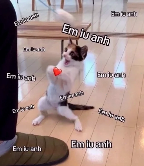 Cặp đôi yêu thương Cặp đôi hoạt hình với meme em yêu anh