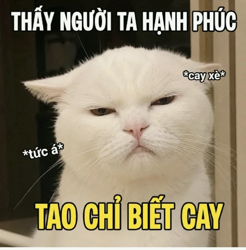 meme ai mà biết được xu hướng cập nhật xu hướng meme ai mà biết được