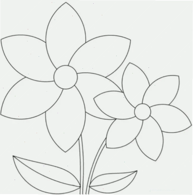 Cây chuối trong vườn