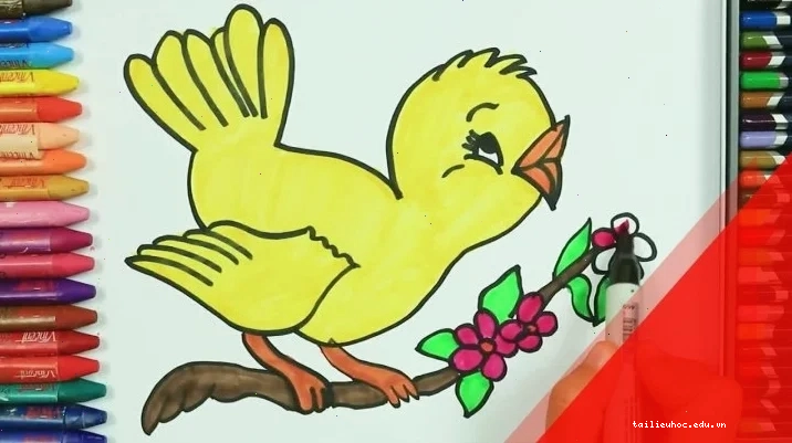 Chim tìm quả chín Chú chim nhỏ rướn mình tìm quả trên cành