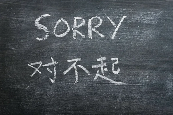 Chú chó làm mặt buồn khổ khi xin lỗi