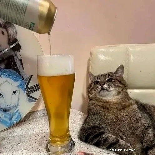 Chó nâng ly bia Chú chó nâng ly cùng meme uống bia