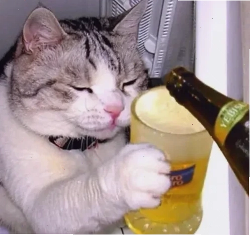 Mèo nhậu say Chú mèo đáng yêu với meme uống bia cực hài