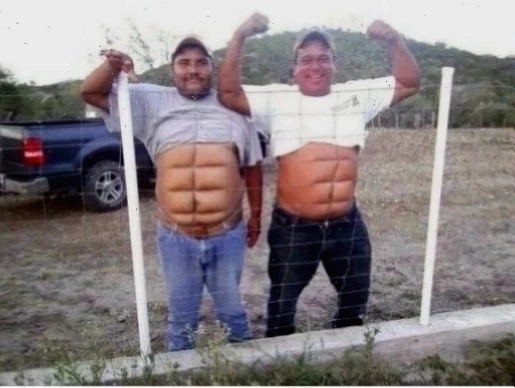 Thỏ tập gym Chú thỏ với bụng 6 múi meme đáng yêu