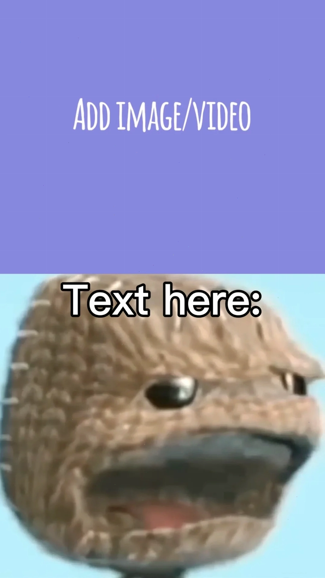 Hamster Chuột Hamster sốc meme