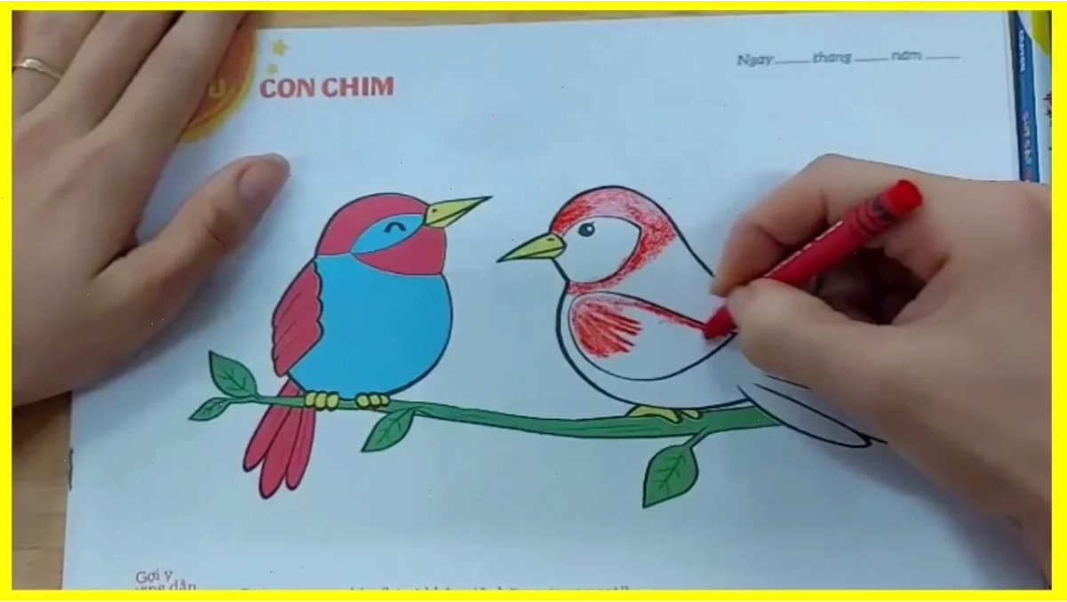 Chim ưng săn mồi Con chim ưng biển săn mồi mạnh mẽ