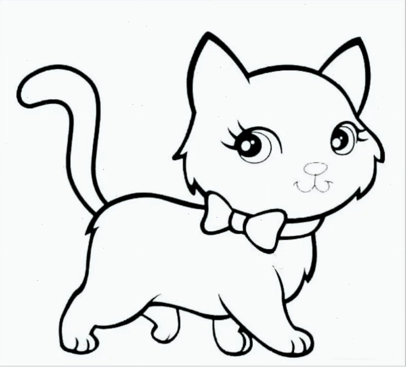 mèo Tom con mèo tô màu gì cho mèo Tom