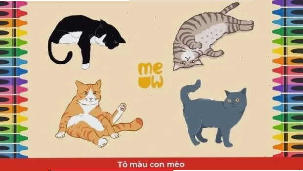 mèo đáng yêu con mèo tô màu gì tươi sáng