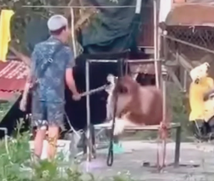công an đánh đàn công an đánh đàn meme độc