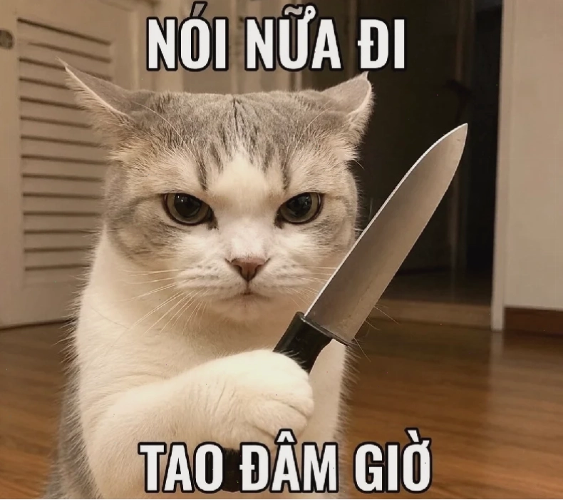 công an đánh đàn công an đánh đàn meme trào lưu