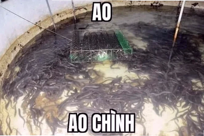 game thủ dùng meme cộng đồng game thủ sử dụng out trình meme