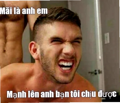 cộng đồng meme Việt Nam