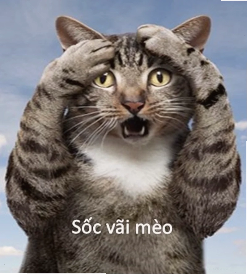 Cua đỏ Cua đỏ hoảng hốt trong sốc meme