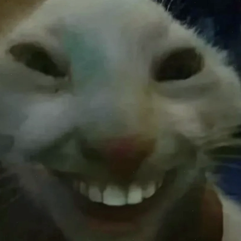 Mèo buồn cười cười meme mèo bựa