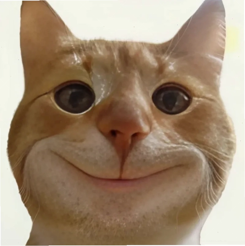 Mèo cười nham nhở cười meme mèo bựa