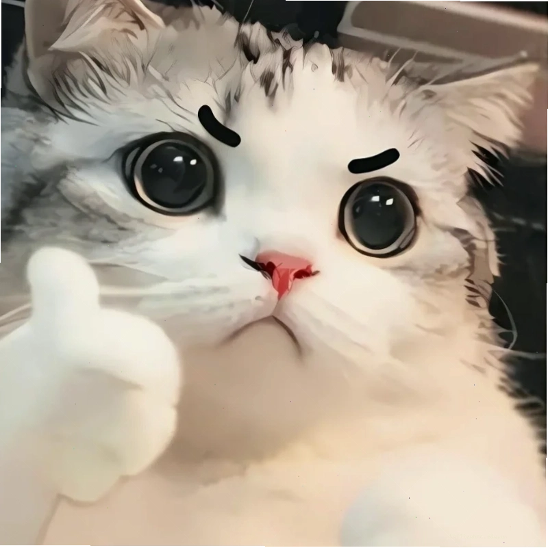 Mèo vui cười meme mèo bựa