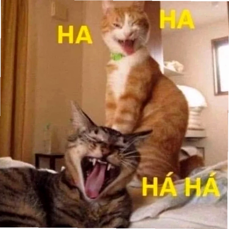 Mèo lạ cười meme mèo bựa
